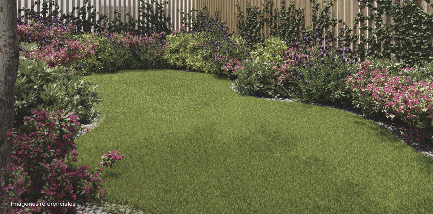 Rendering of the residence's shared interior garden