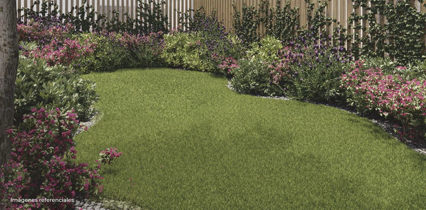 Rendu du jardin intérieur de Tristán 21